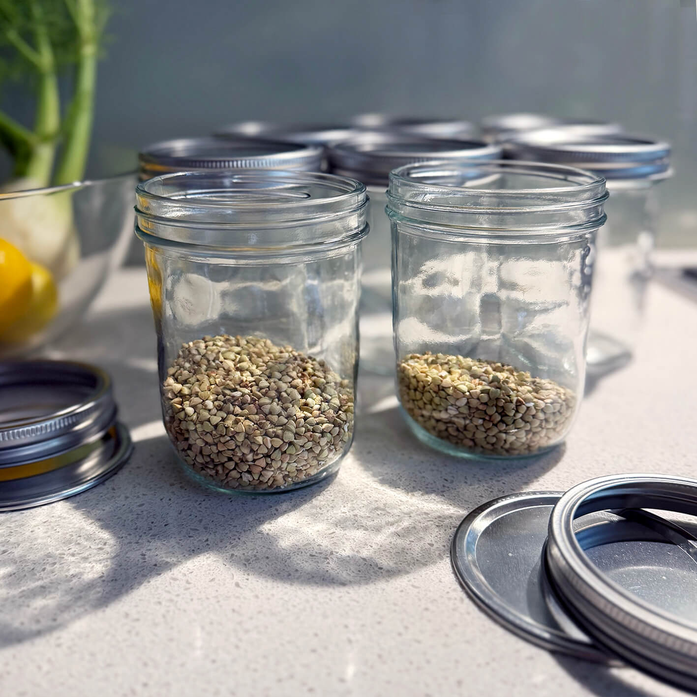 8 Pack Wide Mouth 16Oz Mason Jars